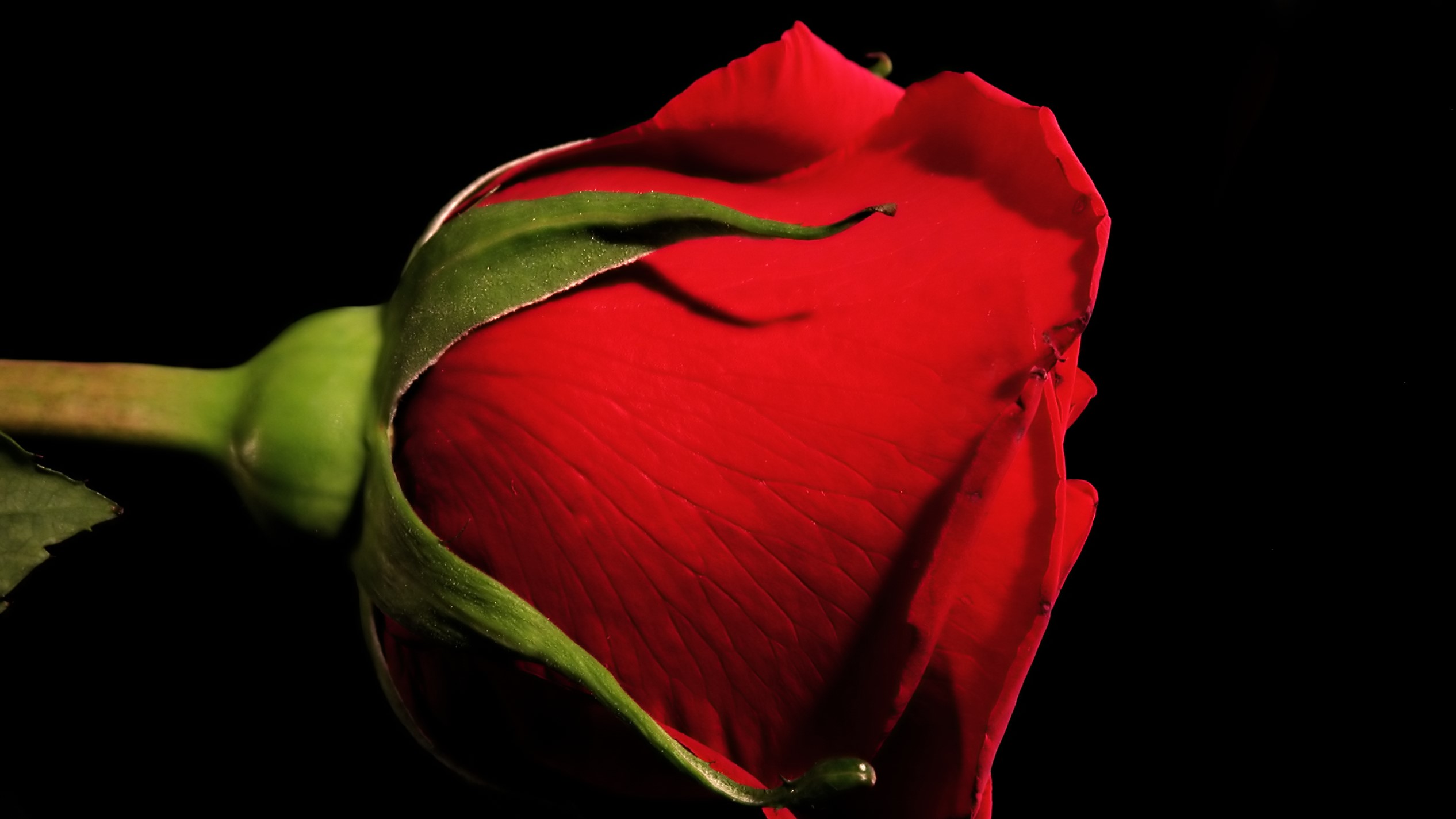 Bijbel in 1000 seconden | Johannes 15, 12-17